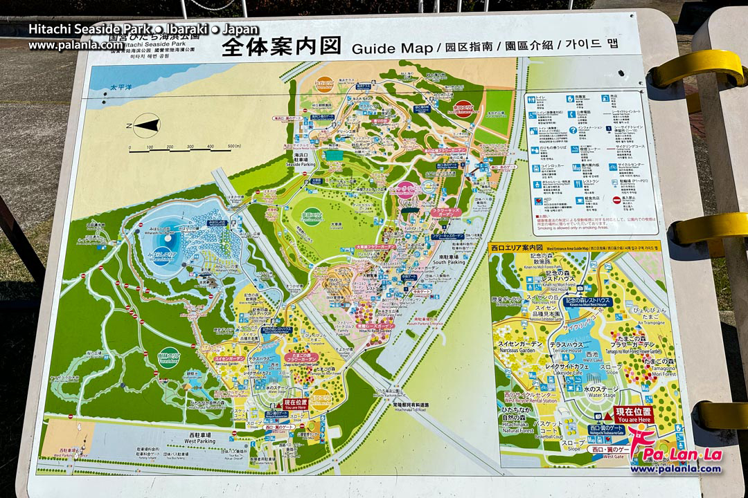 Hitachi Seaside Park